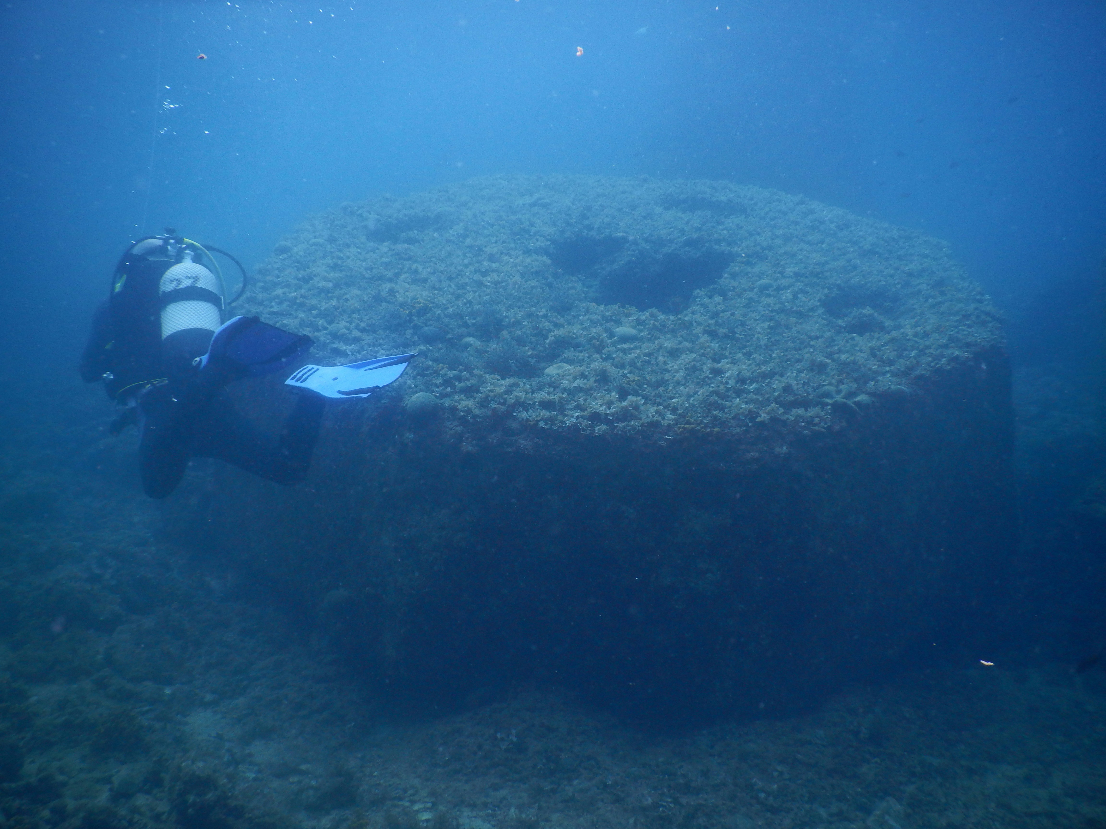 Commercial diver at work