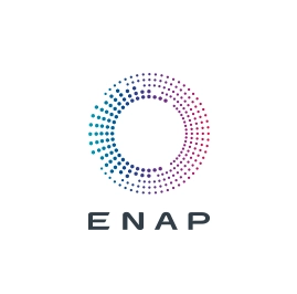 Enap logo